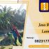 Jasa Bor Pile Lamongan-min
